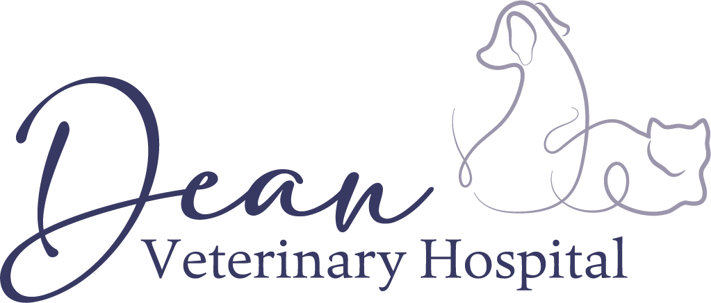 Dean Veterinary Hospital